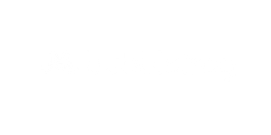 Bubblefrog Marketing